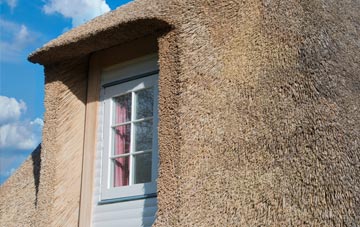 Nisthouse thatch roof disadvantages